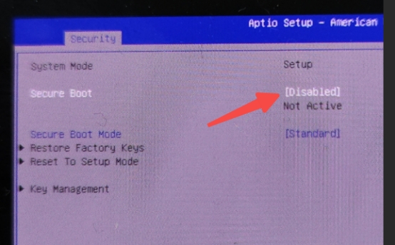 secure_boot.jpg
